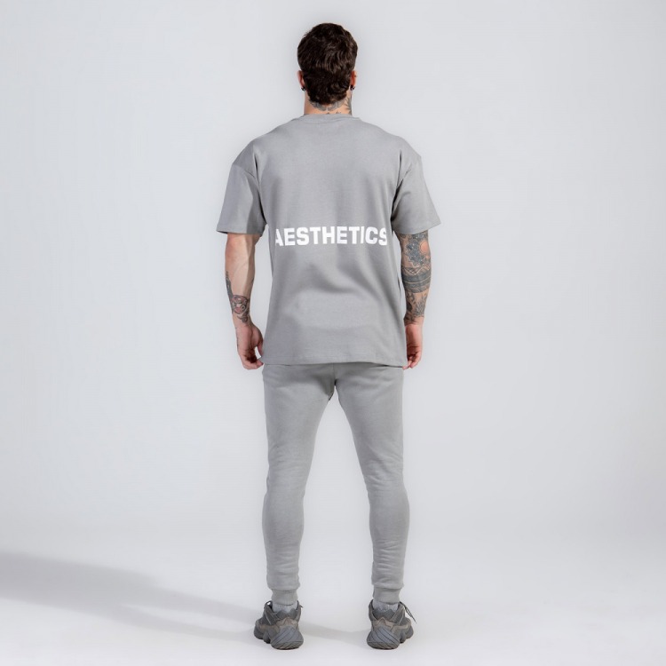 Camiseta oversize cinza estampada Lavanderia Júpiter - AMP